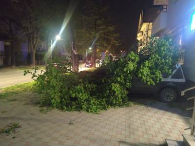  Dio stabla u Banjaluci pao na automobile 