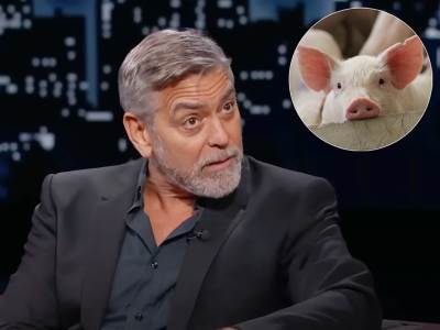  Džordž Kluni o kućnom ljubimcu svinji 