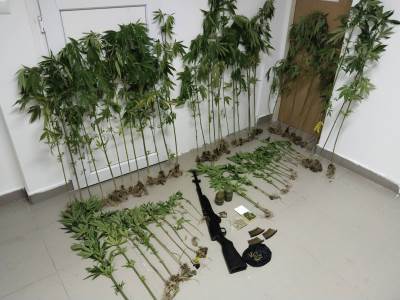  Kod Laktaša pronađena laboratorija za uzgoj marihuane 