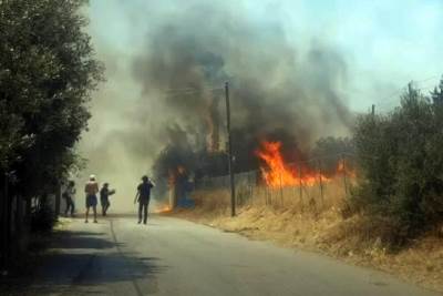  Hitna upozorenja zbog požra u Grčkoj 