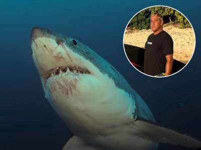  Glumca iz Pirata sa Kariba usmrtila ajkula 