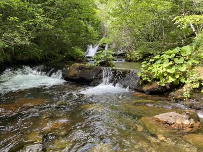  Zaštita Gornjeg toka Neretve u Hercegovini 