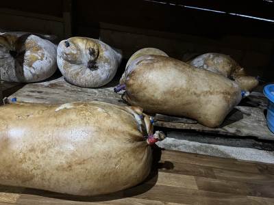  Gatački kajmak iz mješine u Registar geografskih oznaka Evropske unije 