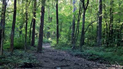  Većina Banjalučana protiv automobila na Banj brdu 