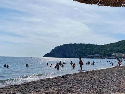  Morski puž zekan na plaži u Crnoj Gori 