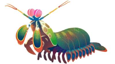  Koja si životinja - saznaj odmah! 