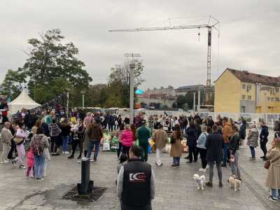  Banjalučani skupljali hranu za pse u azilu 