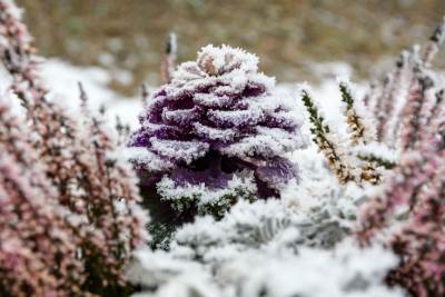  Vrijeme i stanje na putevima 