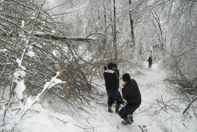  Radnici Elektrokrajine 