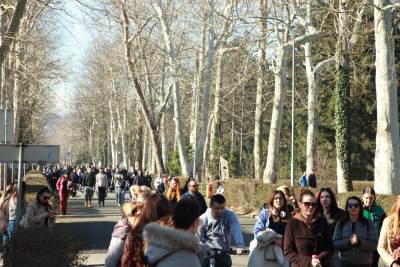  Ministarstvo raspisalo konkurs za 1.065 studentskih stipendija 