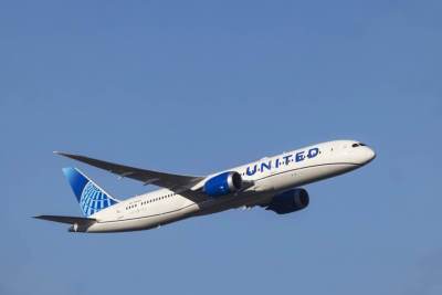  Putnik u avionu prijetio pištoljem 