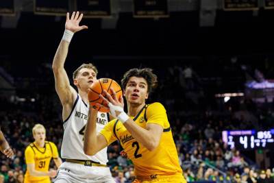  Odlične partije Andreja Stojakovića  