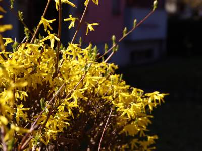  Vremenska prognoza 19. februar 