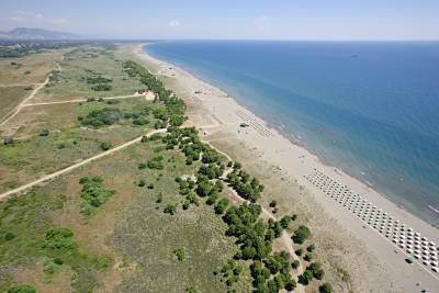  Koncesija ulcinjske velike plaže šeiku iz Emirata 