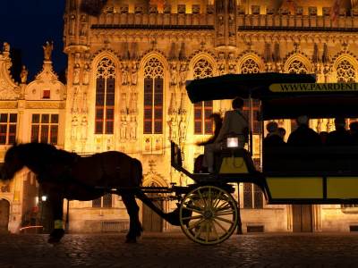  Briž apeluje na turiste da prestanu da kradu kaldrmu 