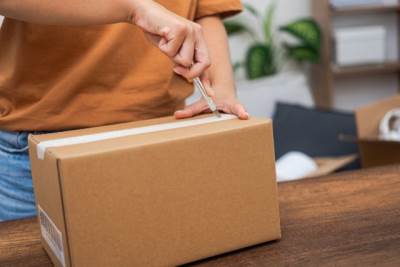  Kako da koristite kartone u bašti 