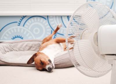 Opcija ventilatora na klimi štedi struju i korisna je iz više razloga 