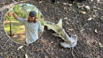  Ajkula pala sa neba, dok su ljudi igrali golf 