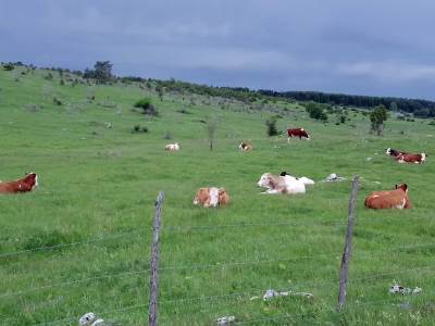  Srn2025-6-16_1011347_3.jpg 
