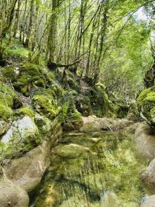  Reportaža kanjoning Koranom 