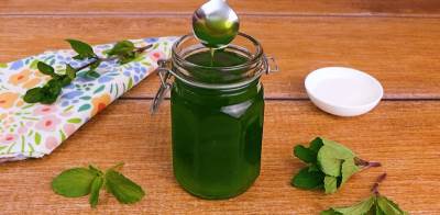  Recept za sirup od nane 