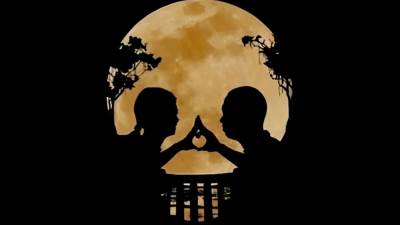  test zašto donosite loše odluke 