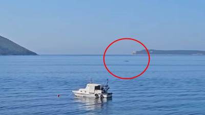  Kit snimljen kod obale Herceg Novog 