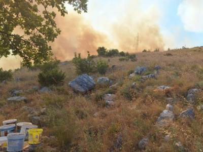   Požar na području Trebinja, vjetar otežava gašenje  