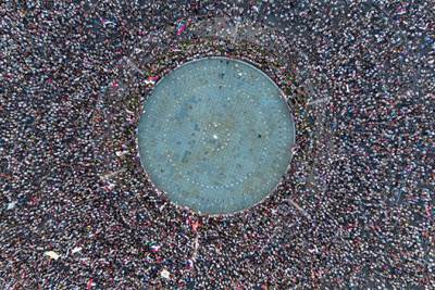  Arhiv javnih skupova objavio koliko je ljudi bilo na Slaviji 