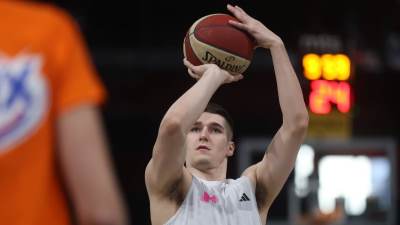  Karijera Stefana Miljenovića 