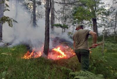  Šumsko gazdinstvo "Borja" Teslić: Požar u Katuništu se širi 