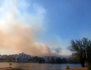 Požar u Trebinju Požar u Trebinju