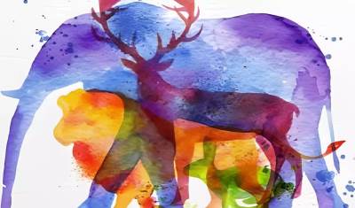  Test ličnosti koliko teško donosite odluke 