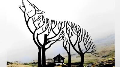  Test ličnosti da li volite da se ističete 