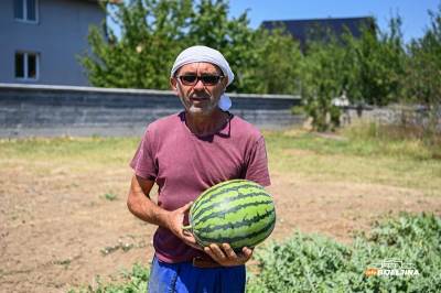  Lubenice prodaju za 0,40 KM, u marketima preko marke 