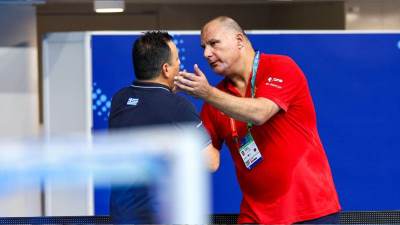  Dejan Savić nakon poraza od Španije 