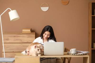  zašto vam mačka okreće leđa 