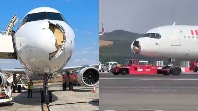  Ptica udarila u avion, odvaljen mu nos 