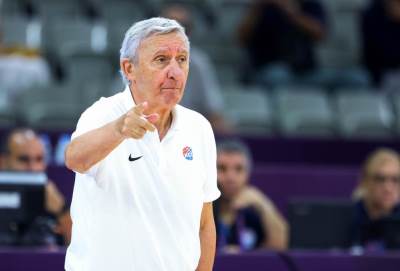  svetislav pesic o povredi vase micica 