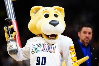  maskota tuzila denver nagetse 