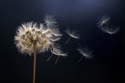  Test ličnosti koliko ste ranjivi 