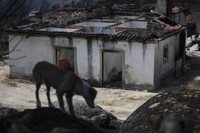 požar u portugalu zahvatio vatrogasno vozilo 