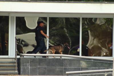  kontradiverzioni pregled nsrs 