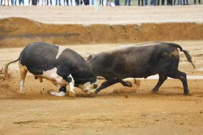  Završeni "Kočićevi dani": Nakon zborovanja na Manjači, za kraj stand up komedija na Kastelu 