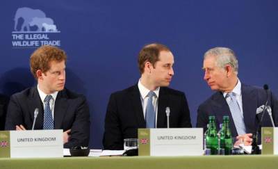  Sastali se kralj Čarls i princ Hari 