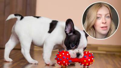  Greške vlasnika kućnih ljubimaca 