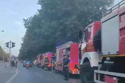  Požar u Sremčici uzrok 