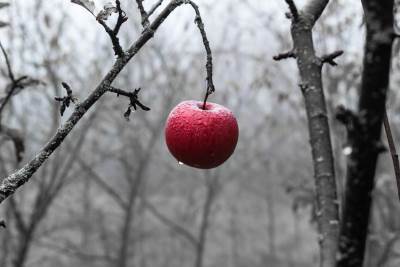  Test ličnosti koji je vaš smrtni grijeh 