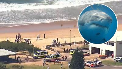  Muškarca u Sidneju usmrtila ajkula 