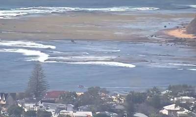  U Australiji pronađeni ostaci praistorijskog morskog psa 